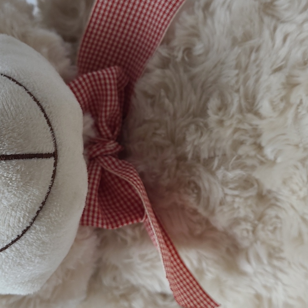 20" BURTON + BURTON BEIGE TEDDY BEAR - Picture 3 of 7